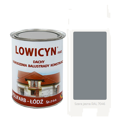 LOWICYN 5l dach ocynk SZARY JASNY Mat