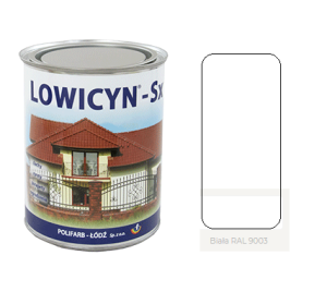 LOWICYN SX  10l  dach ocynk  BIAŁY RAL 9003 Połysk