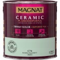 MAGNAT Ceramic Farba plamoodporna rajski fluoryt C74 2,5L