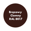 AQUA PRO Emalia Akrylowa Szybkoschnąca 0,2L Brązowy Ciemny 8017