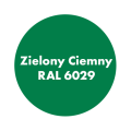 AQUA PRO Emalia Akrylowa Szybkoschnąca 3L Zielony 6029