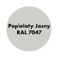 AQUA PRO Emalia Akrylowa Szybkoschnąca 10L Popielaty Jasny RAL 7047