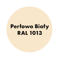 AQUA PRO Emalia Akrylowa Szybkoschnąca 0,8L Perłowo Biały RAL 1013