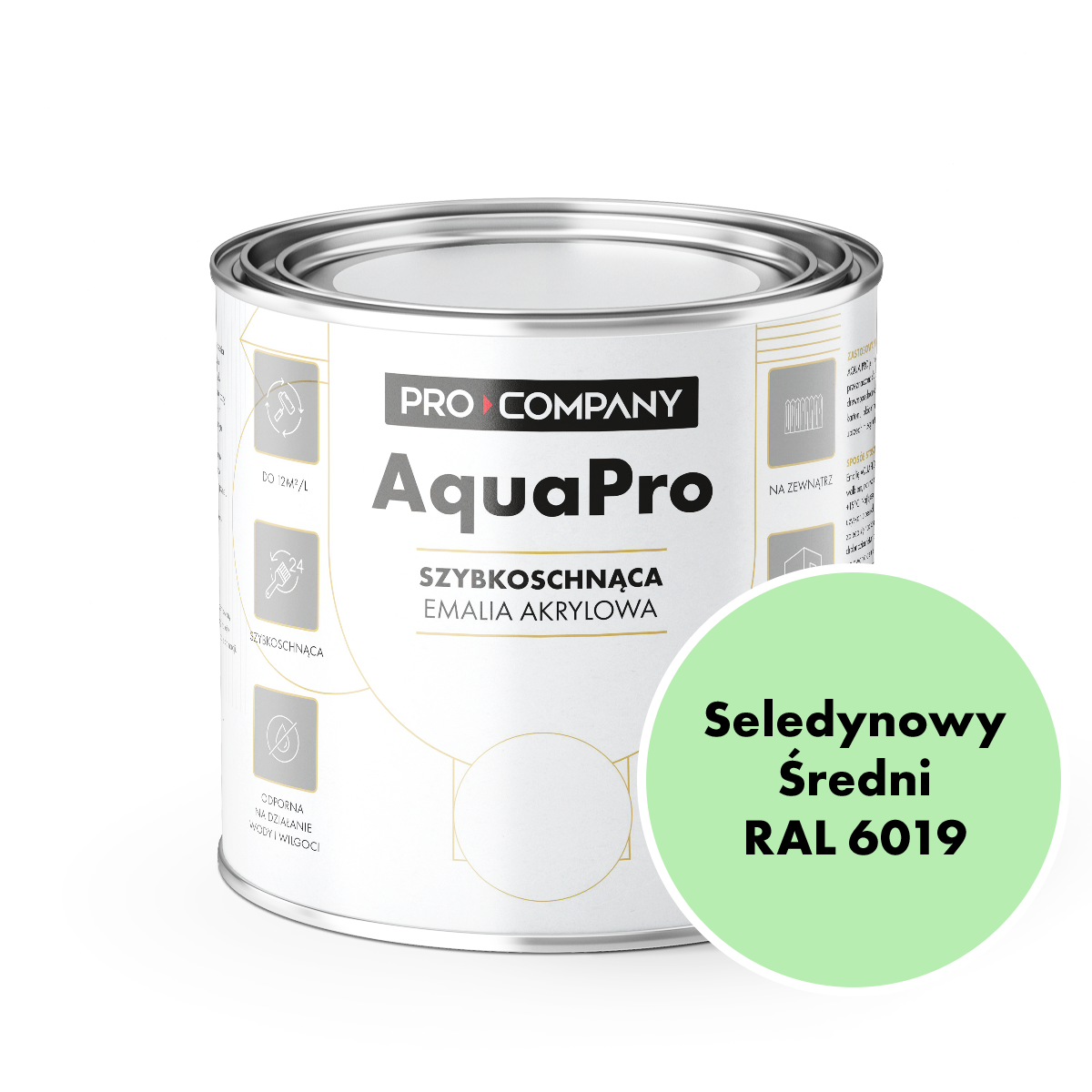 AQUA PRO Emalia Akrylowa Szybkoschnąca 0,8L Seledynowy Średni RAL 6019 MAT