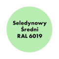 AQUA PRO Emalia Akrylowa Szybkoschnąca 0,8L Seledynowy Średni RAL 6019 MAT