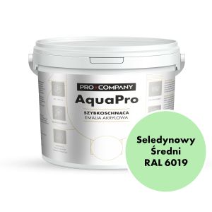 AQUA PRO Emalia Akrylowa Szybkoschnąca 5L Seledynowy Średni RAL 6019 MAT