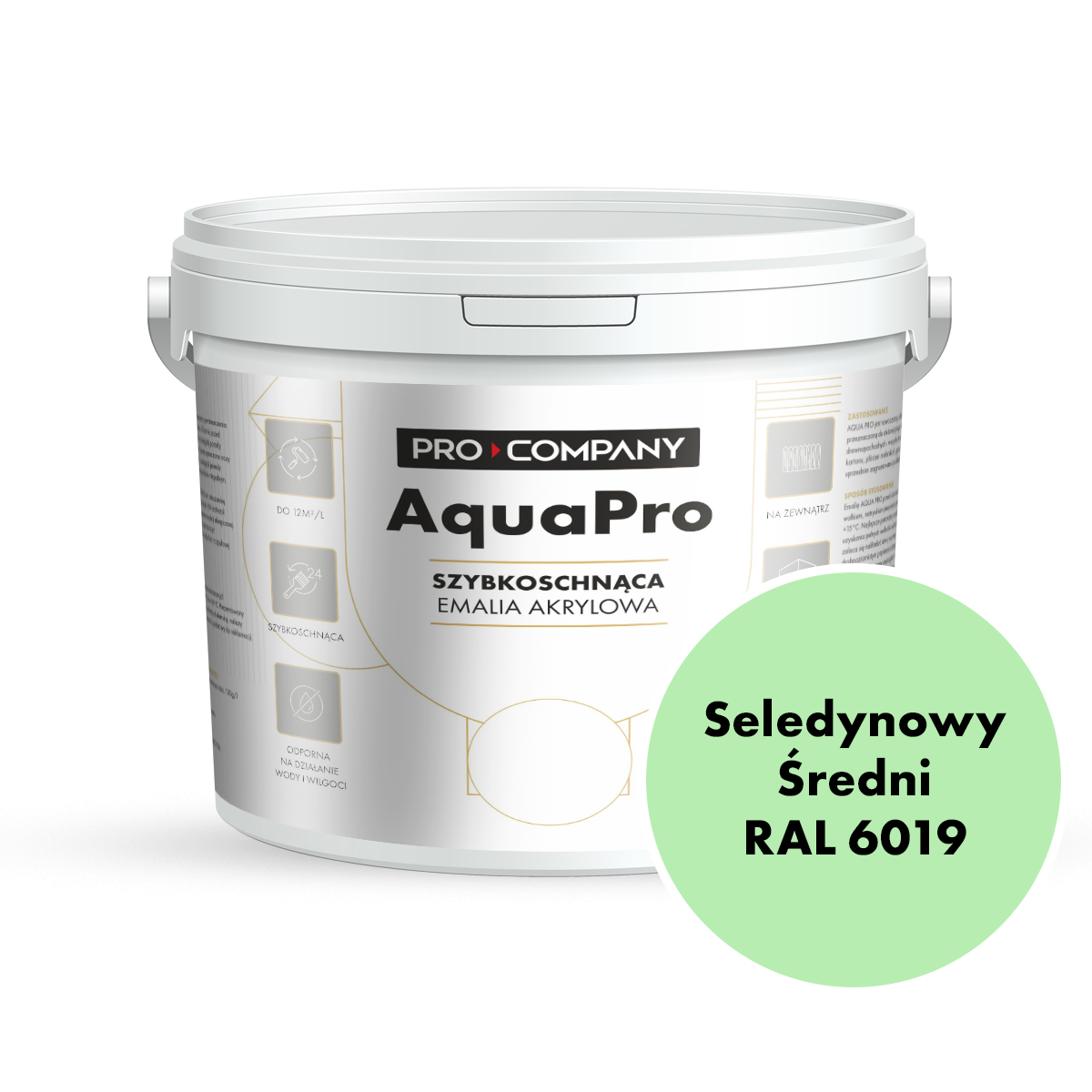 AQUA PRO Emalia Akrylowa Szybkoschnąca 10L Seledynowy Średni RAL 6019 MAT