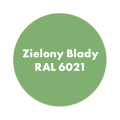 AQUA PRO Emalia Akrylowa Szybkoschnąca 0,7L Zielony Blady RAL 6021