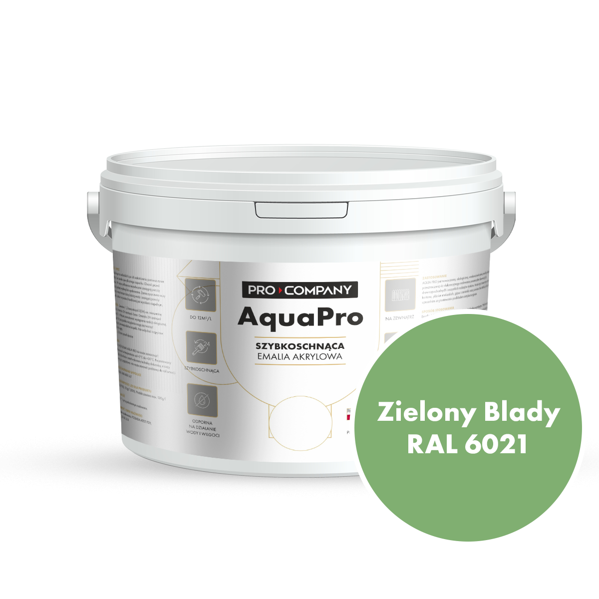 AQUA PRO Emalia Akrylowa Szybkoschnąca 2,7L Zielony Blady RAL 6021