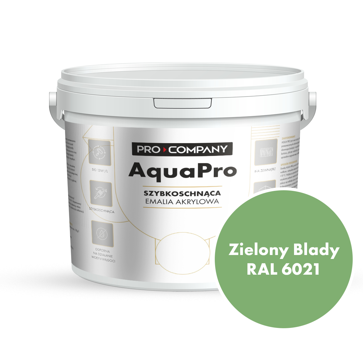 AQUA PRO Emalia Akrylowa Szybkoschnąca 4,5L Zielony Blady RAL 6021
