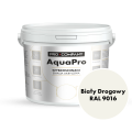 AQUA PRO Emalia Akrylowa Szybkoschnąca 5L Biały Drogowy RAL 9016