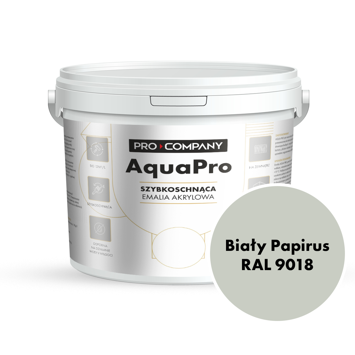 AQUA PRO Emalia Akrylowa Szybkoschnąca 10L Biały Papirus RAL 9018