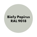 AQUA PRO Emalia Akrylowa Szybkoschnąca 3L Biały Papirus RAL 9018 MAT