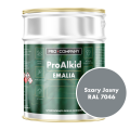 PRO ALKID szybkoschnąca emalia alkidowa 10l Szary jasny RAL 7046