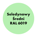 PRO ALKID szybkoschnąca emalia alkidowa 10l Seledynowy średni RAL 6019