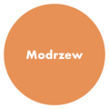 PRO Company Szpachla do drewna 250g Modrzew