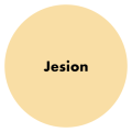 PRO Company Szpachla do drewna 250g Jesion
