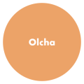 PRO Company Szpachla do drewna 250g Olcha