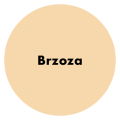 PRO Company Szpachla do drewna 5kg Brzoza