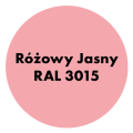 NAKOR Profesjonalny szybkoschnący podkład antykorozyjny 10l Różowy Jasny RAL 3015