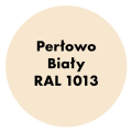 NAKOR Profesjonalny szybkoschnący podkład antykorozyjny 10l Perłowo Biały RAL 1013