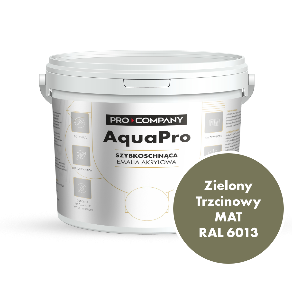 Szybkoschnąca uniwersalna emalia akrylowa Aqua Pro Zielony Trzcinowy MAT RAL 6013 9L