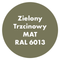 Szybkoschnąca uniwersalna emalia akrylowa Aqua Pro Zielony Trzcinowy MAT RAL 6013 9L