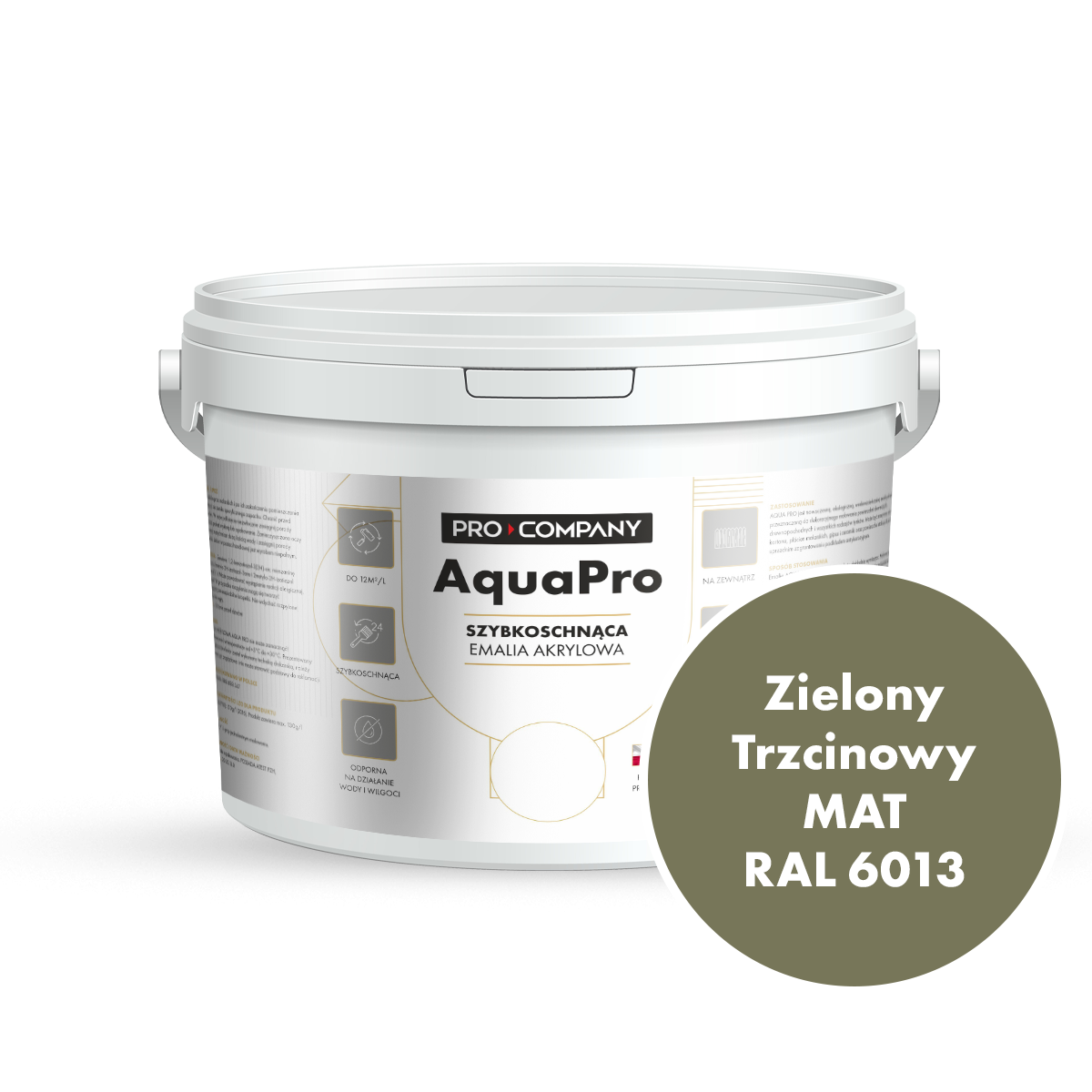 Szybkoschnąca uniwersalna emalia akrylowa Aqua Pro Zielony Trzcinowy MAT RAL 6013 2,7L