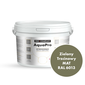 Szybkoschnąca uniwersalna emalia akrylowa Aqua Pro Zielony Trzcinowy MAT RAL 6013 2,7L