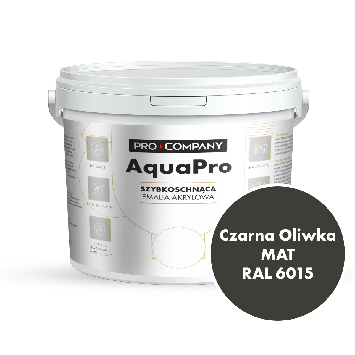 Szybkoschnąca uniwersalna emalia akrylowa Aqua Pro Czarna Oliwka MAT RAL 6015 9L