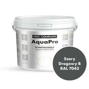Szybkoschnąca uniwersalna emalia akrylowa Aqua Pro Szary Drogowy B RAL 7043 9L