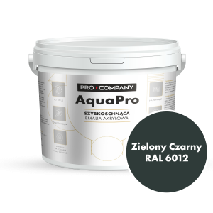 Szybkoschnąca uniwersalna emalia akrylowa Aqua Pro Zielony Czarny RAL 6012 4,5L