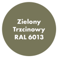 Szybkoschnąca uniwersalna emalia akrylowa Aqua Pro Zielony Trzcinowy RAL 6013 2,7L