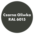 Szybkoschnąca uniwersalna emalia akrylowa Aqua Pro Czarna Oliwka RAL 6015 9L