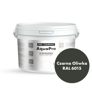 Szybkoschnąca uniwersalna emalia akrylowa Aqua Pro Czarna Oliwka RAL 6015 2,7L