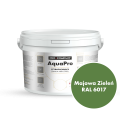 Szybkoschnąca uniwersalna emalia akrylowa Aqua Pro Majowa Zieleń RAL 6017 2,7L