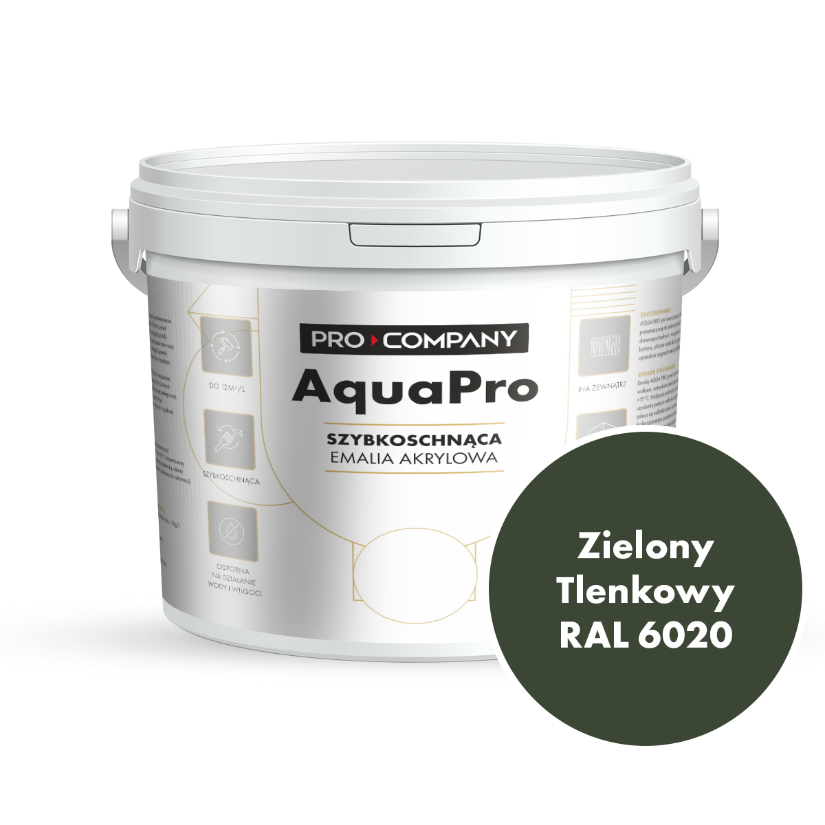 Szybkoschnąca uniwersalna emalia akrylowa Aqua Pro Zielony Tlenkowy RAL 6020 9L