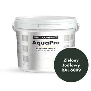 Szybkoschnąca uniwersalna emalia akrylowa Aqua Pro Zielony Jodłowy RAL 6009 4,5L