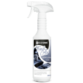 ECO SHINE FRESH AIR Profesjonalny odświeżacz powietrza gentelman 0,5L