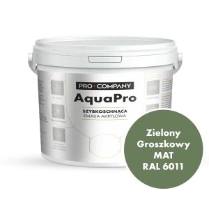 Szybkoschnąca uniwersalna emalia akrylowa Aqua Pro Zielony Groszkowy MAT RAL 6011 9L