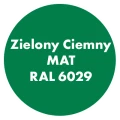 Szybkoschnąca uniwersalna emalia akrylowa Aqua Pro Zielony Ciemny MAT RAL 6029 2,7L