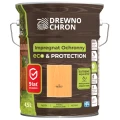 DREWNOCHRON Impregnat Ochronny Eco&Protection dąb złoty 4,5L