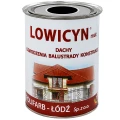 LOWICYN Dach Farba do powierzchni ocynkowanych czarny RAL 9005 Mat 10L