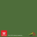 TIKKURILA Luja Ceramic Półmatowa farba do płytek ceramicznych 2w1 RAL 6010 zielony trawiasty