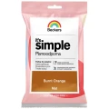BECKERS Designer It's Simple Plamoodporna farba do ścian i sufitów burnt orange brązowo-pomarańczowa tester 50ml