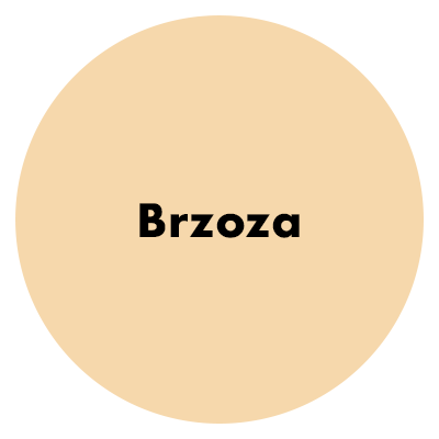 Kolor szpachli brzoza