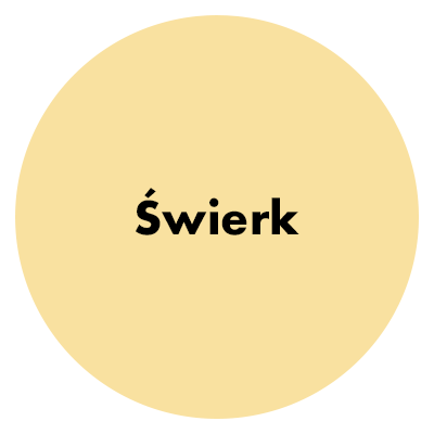Kolor szpachli świerk