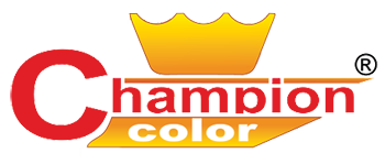 Logo Champion